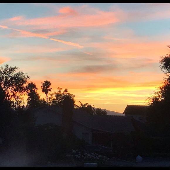 Meet your Posher, Yvette - Picture 1 of 1